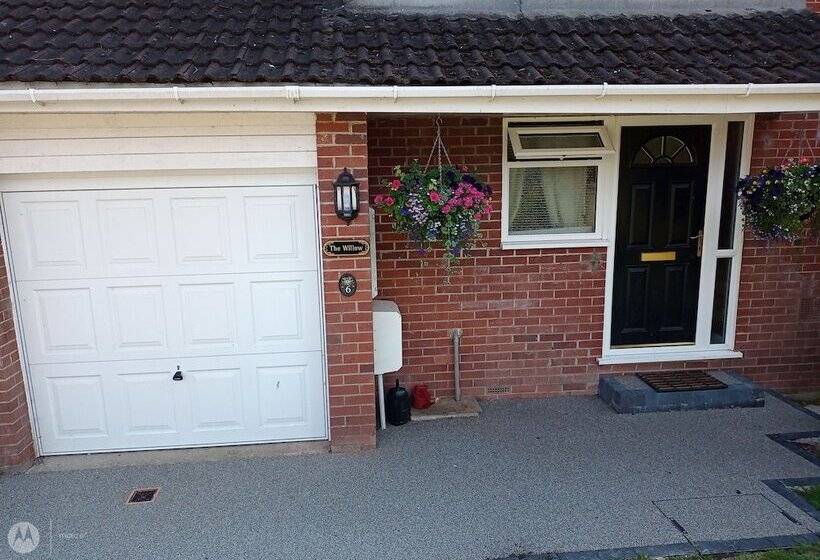 住宿加早餐  The Willow