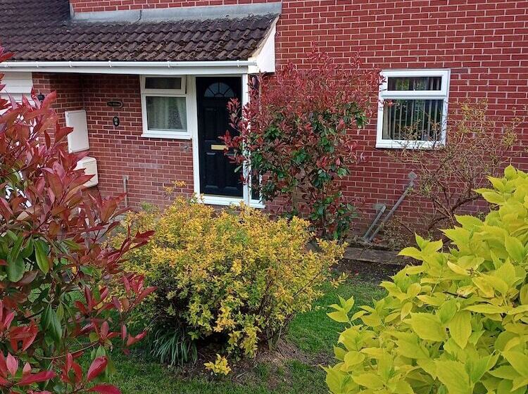 住宿加早餐  The Willow