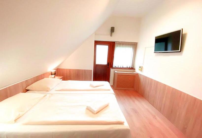 ペンション Charlie Fogadó Sé