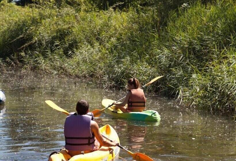 هتل Camping Sènia Riu