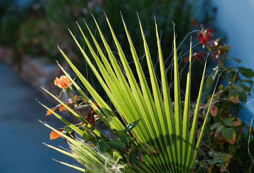 Aelia Collection Suites   Adults Only