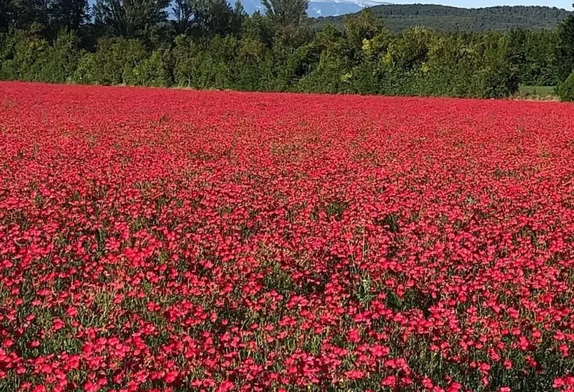 Aamiaismajoitus (B&B) Le Mas De La Sorgue