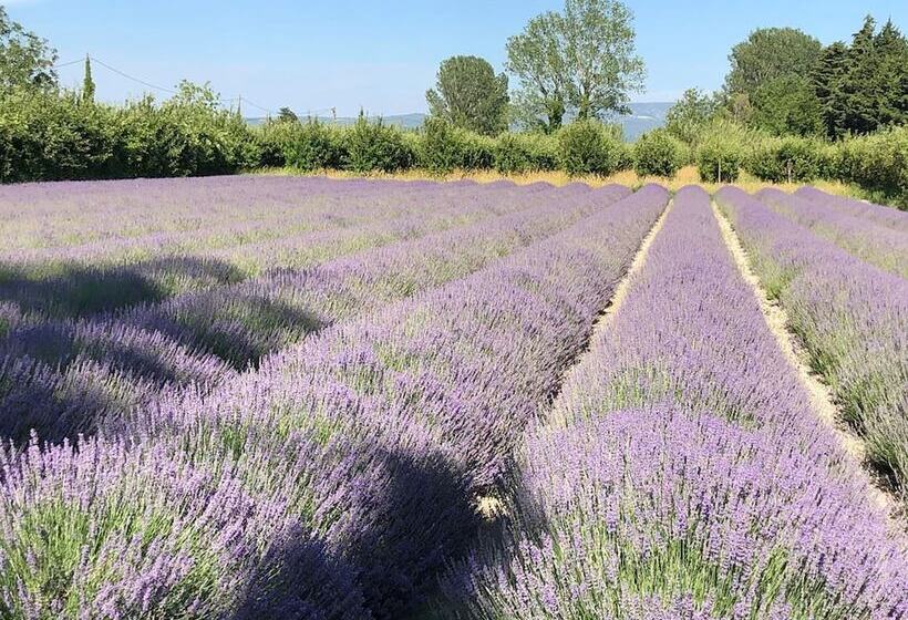 צימר Le Mas De La Sorgue