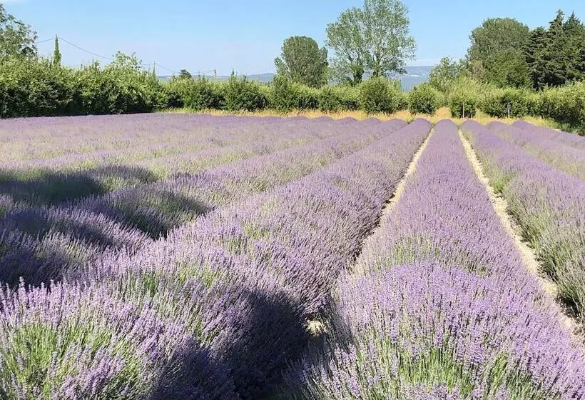 Aamiaismajoitus (B&B) Le Mas De La Sorgue