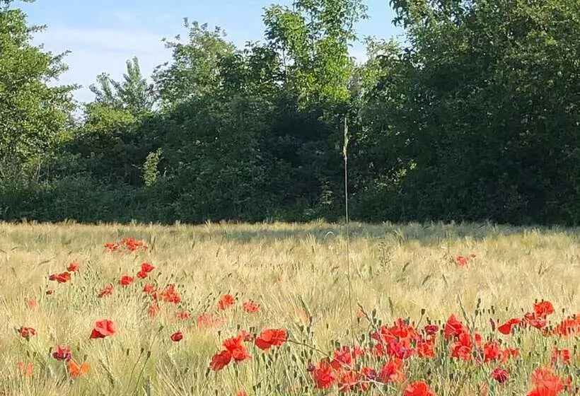 Aamiaismajoitus (B&B) Le Mas De La Sorgue
