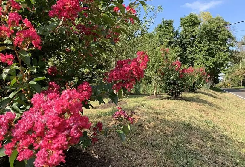 America Sandman B & B