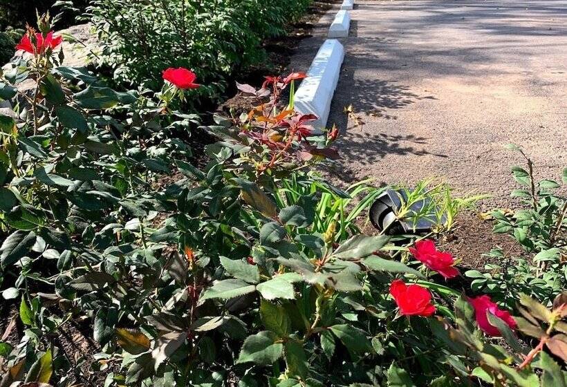 America Sandman B & B