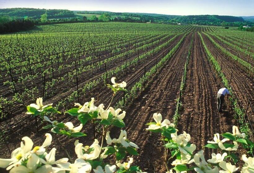 America Sandman B & B