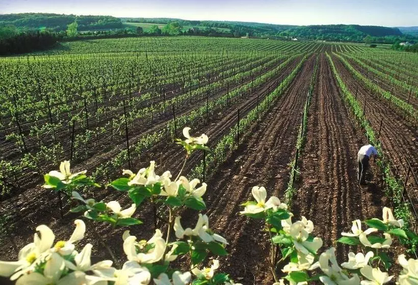 America Sandman B & B