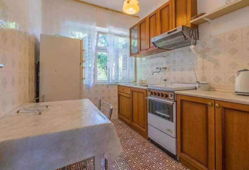 Apartments Hinic