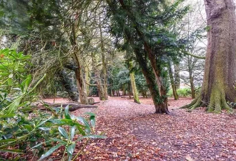 Hotelli Alfreton Hall