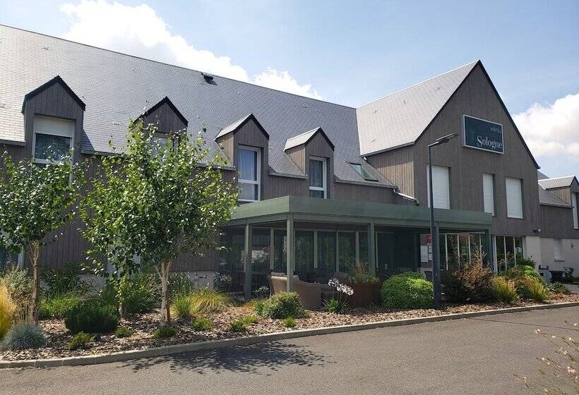 בית מלון כפרי Brame De Sologne