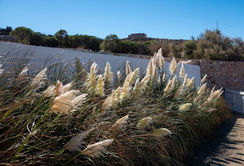 Ventu Paros Villa