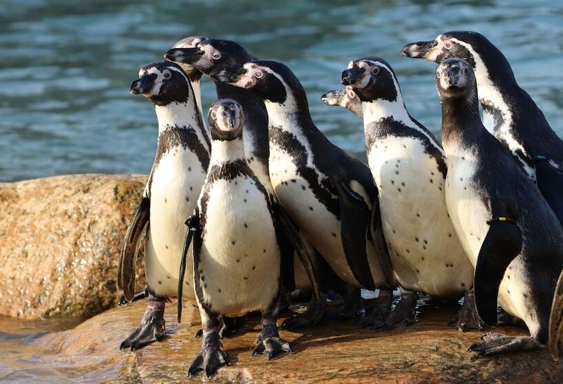 בית מלון כפרי Givskud Zoo Hostel