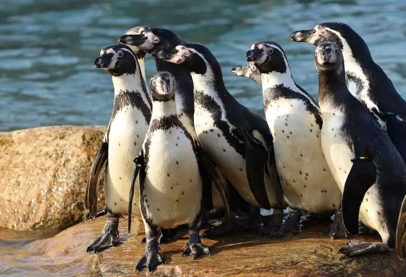 Hotelli Givskud Zoo Hostel