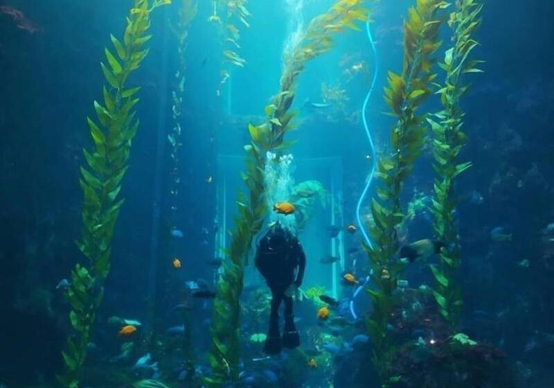 تختخواب و صبحانه 隨緣民宿 Suiian Inn