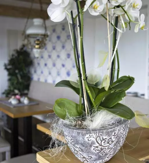 Anker S Hörn   Hotel & Restaurant Auf Der Hallig Langeness