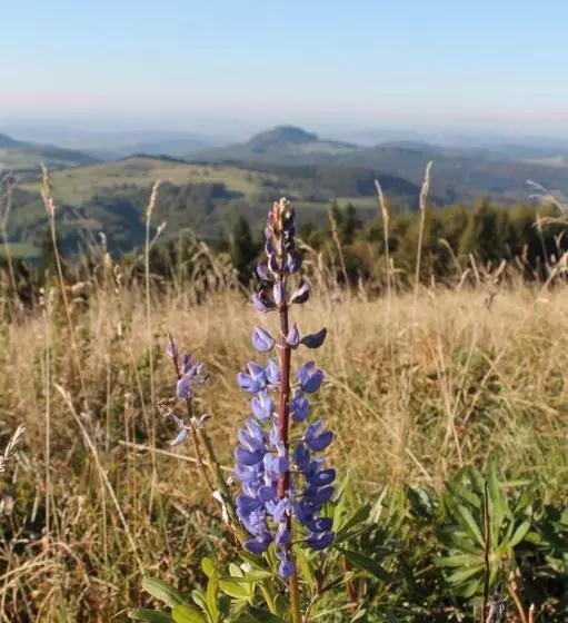Hotelli Pension Gasthof Zum Lamm