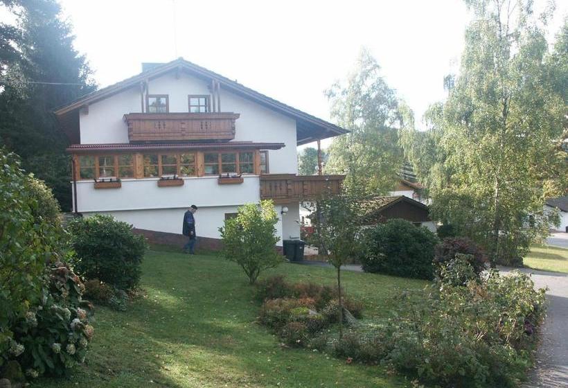 Отель Waldpension