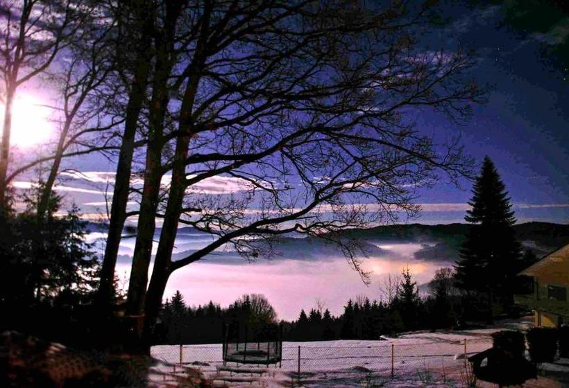 Отель Waldpension