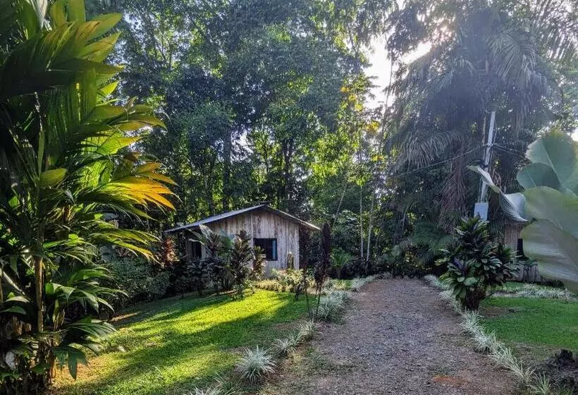 ホテル Citronela Lodge Corcovado