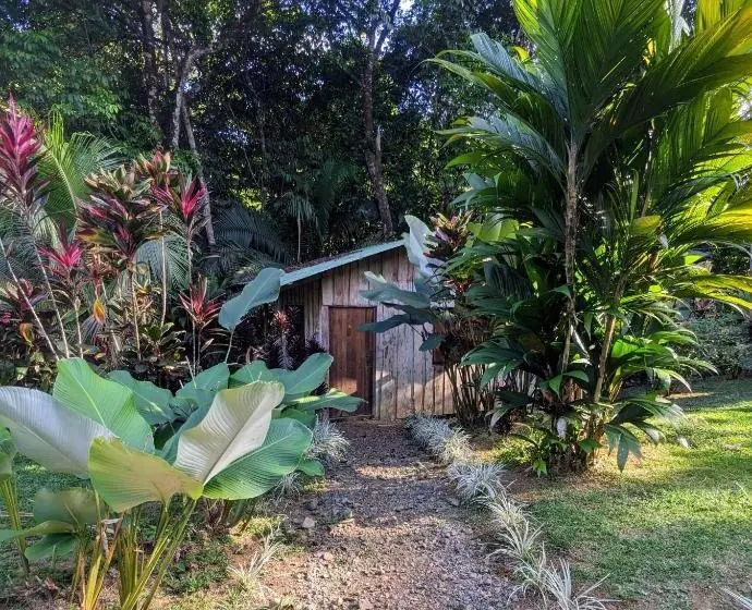 ホテル Citronela Lodge Corcovado