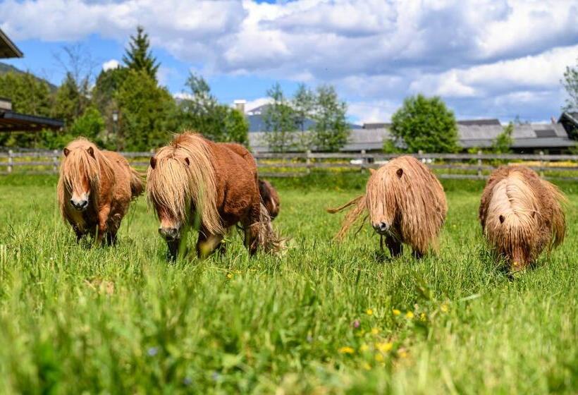 فندق Der Wolkensteinbär