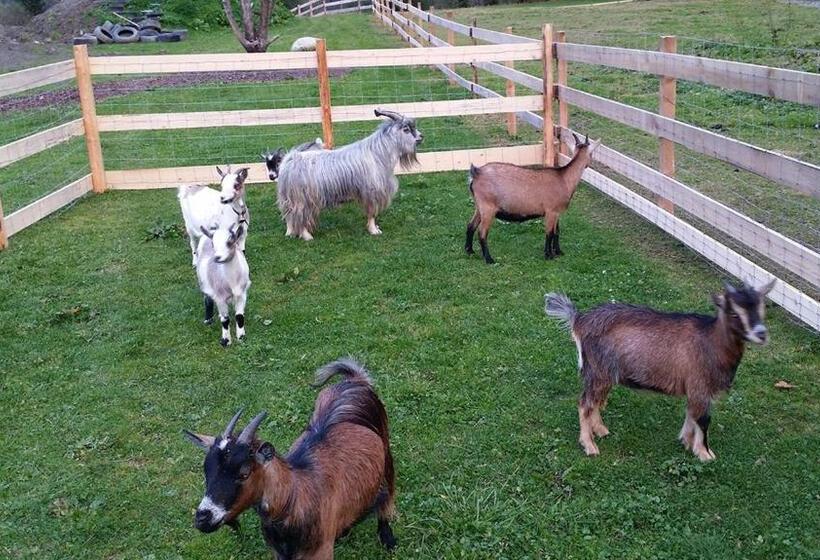 فندق Der Wolkensteinbär