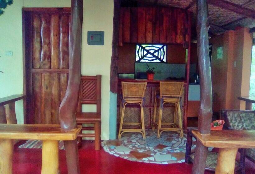 پانسیون Chelle S Guesthouse And Backpackers