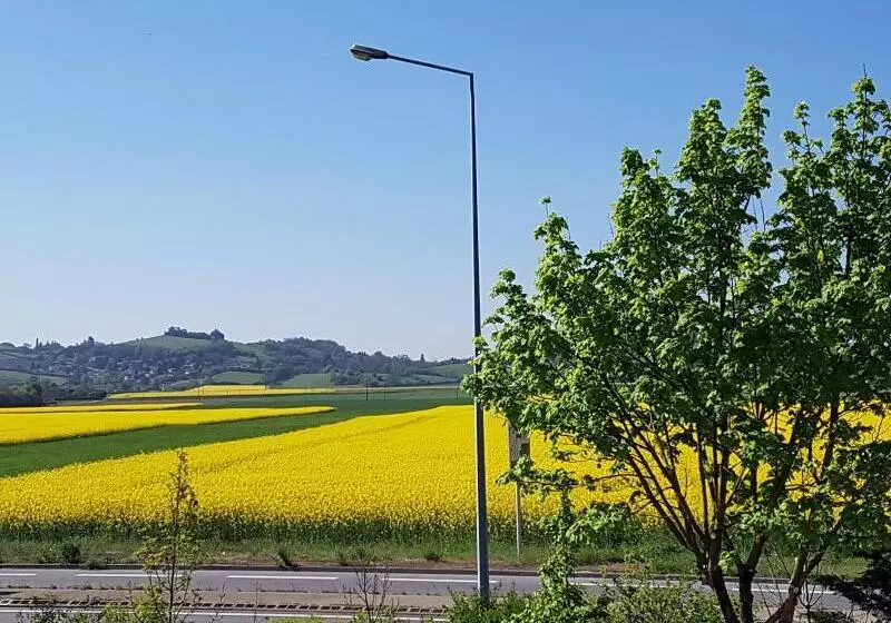 Hôtel Holiday Lyon Est