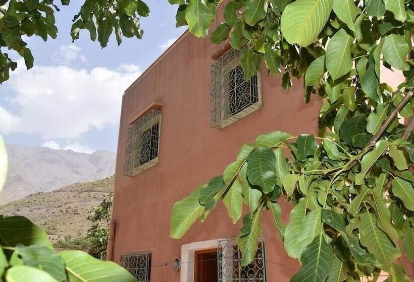 بنسيون Dar Mazik