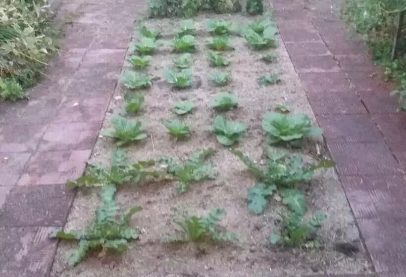 Majatalo Emotion Guesthouse