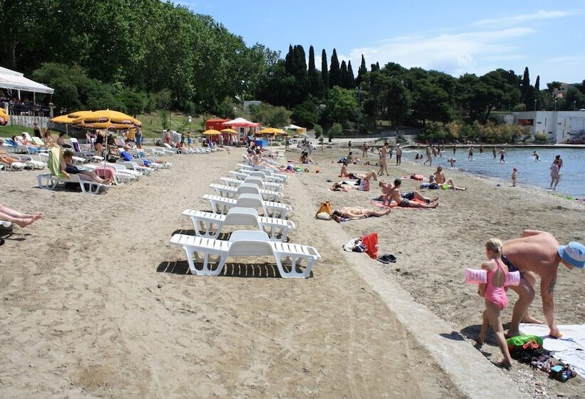 Pension (Hôtel basse catégorie) Guest House Marija