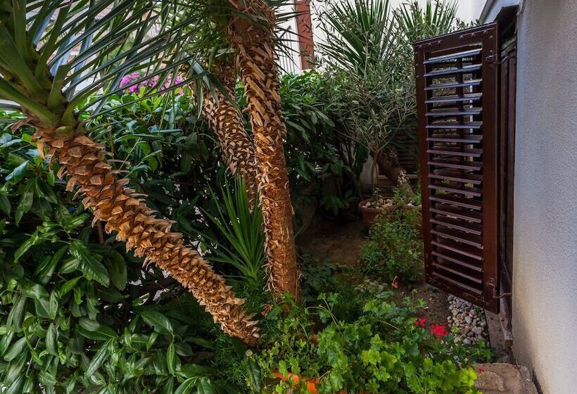 Pension (Hôtel basse catégorie) Guest House Marija