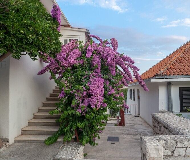 Pension (Hôtel basse catégorie) Guest House Marija