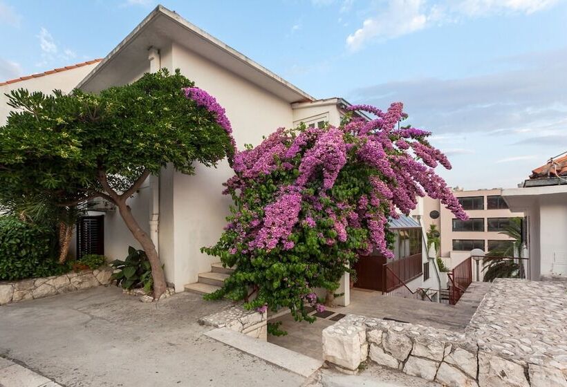 Pension (Hôtel basse catégorie) Guest House Marija