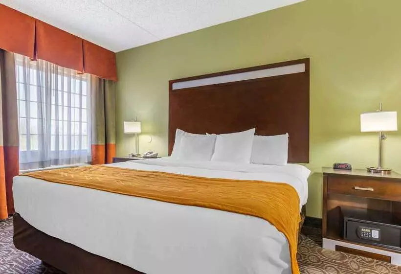 酒店 Comfort Inn Chandler  Phoenix South I10