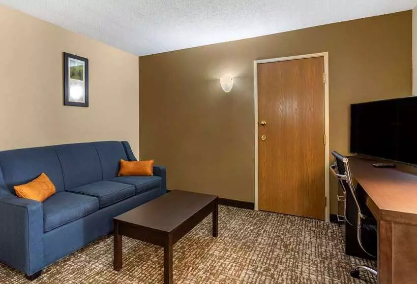 בית מלון כפרי Comfort Inn Paducah I24