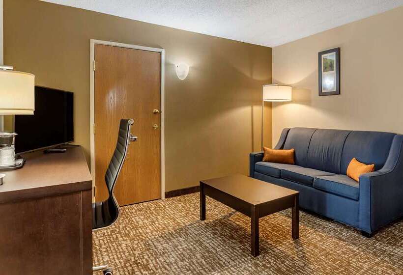 בית מלון כפרי Comfort Inn Paducah I24