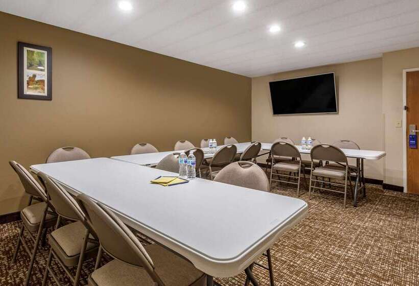 בית מלון כפרי Comfort Inn Paducah I24