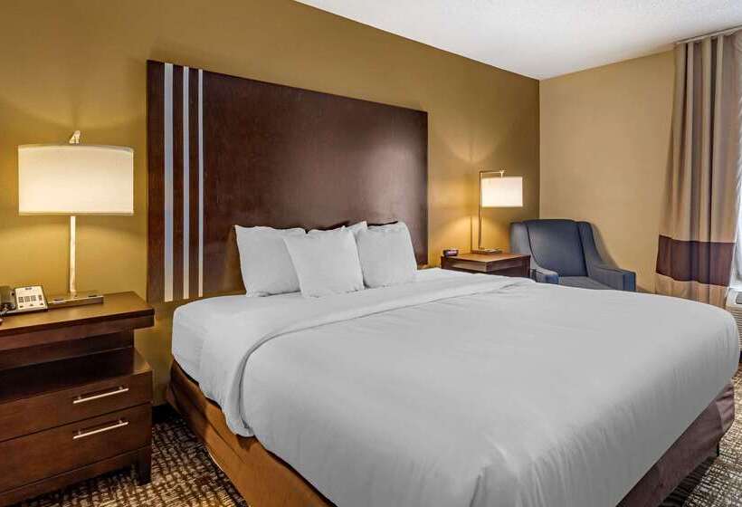 בית מלון כפרי Comfort Inn Paducah I24