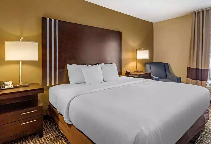 בית מלון כפרי Comfort Inn Paducah I24