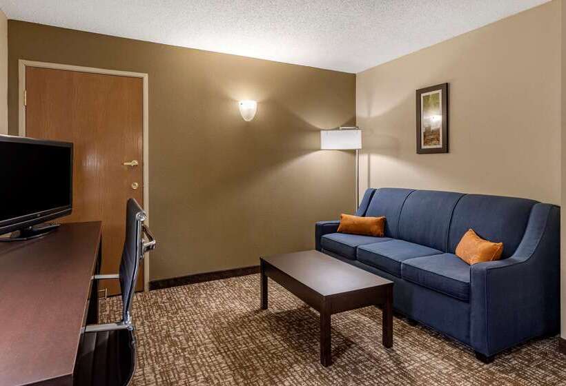 בית מלון כפרי Comfort Inn Paducah I24