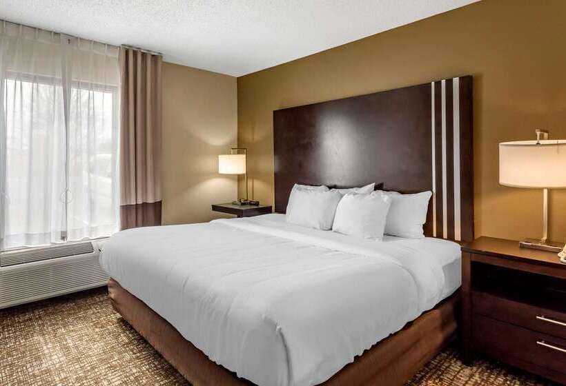 בית מלון כפרי Comfort Inn Paducah I24