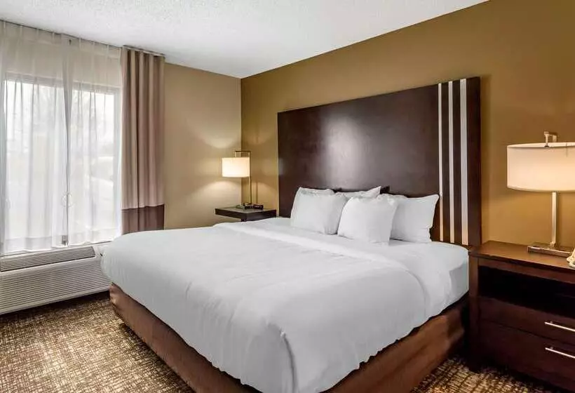 בית מלון כפרי Comfort Inn Paducah I24