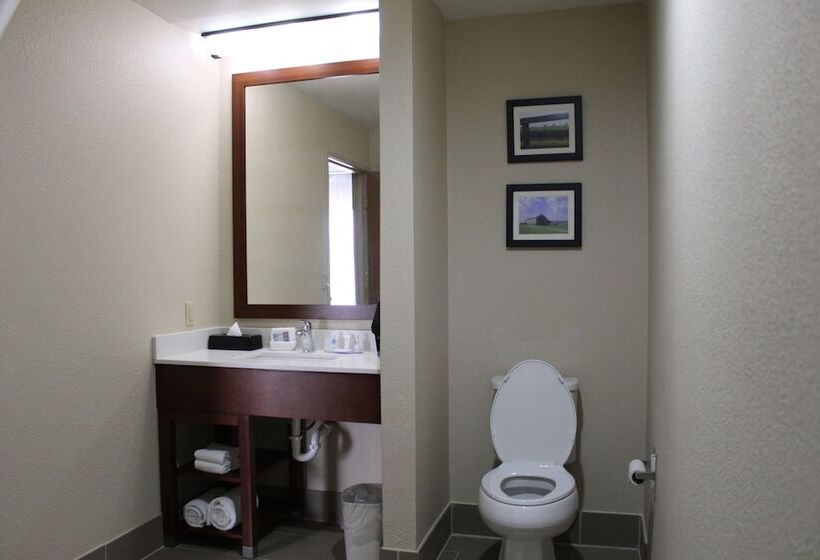 בית מלון כפרי Comfort Inn Paducah I24