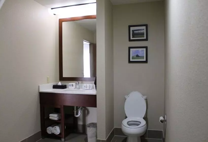 בית מלון כפרי Comfort Inn Paducah I24