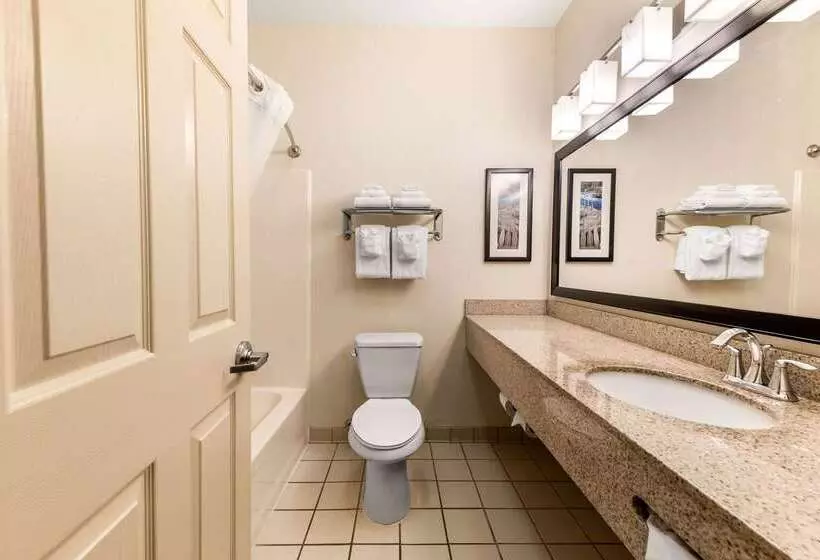 בית מלון כפרי Quality Inn & Suites University Fort Collins