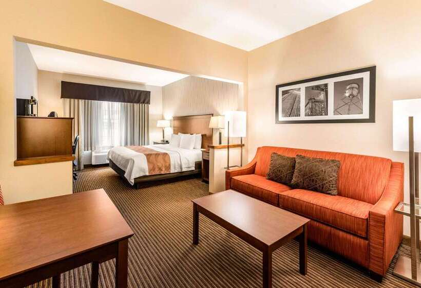 هتل Quality Inn & Suites University Fort Collins