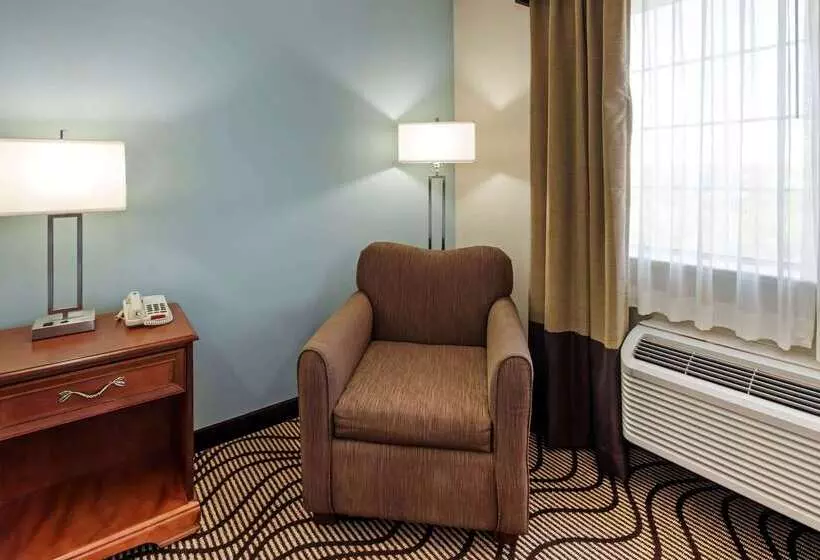 ホテル La Quinta By Wyndham Santa Rosa